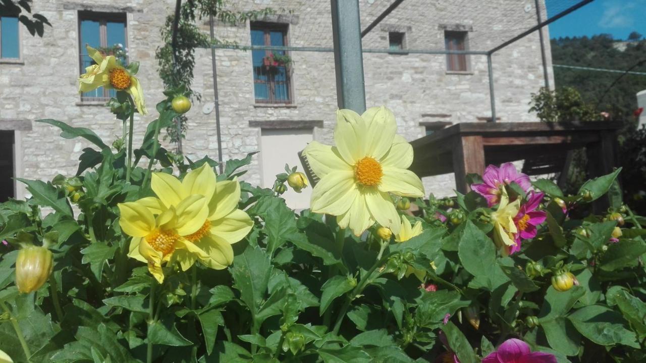 Hotel Casale Le Fontanelle Monte Grimano Terme Zewnętrze zdjęcie