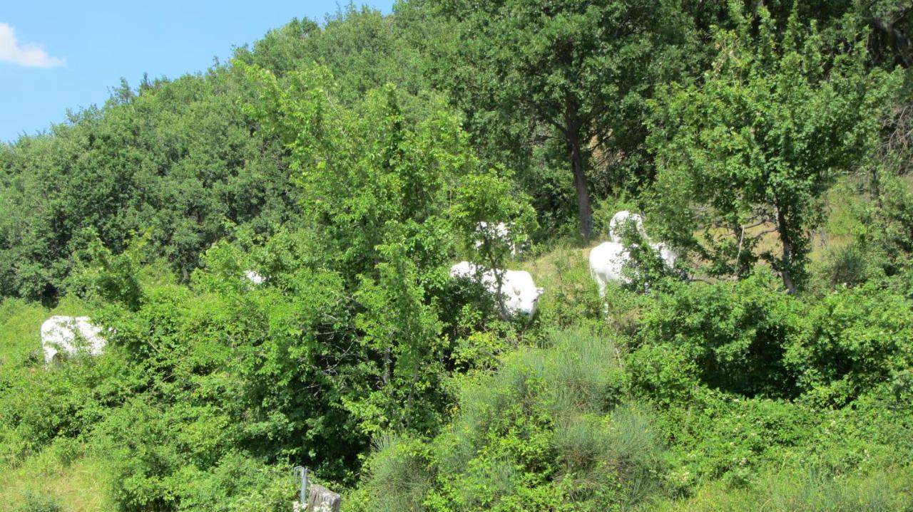Hotel Casale Le Fontanelle Monte Grimano Terme Zewnętrze zdjęcie