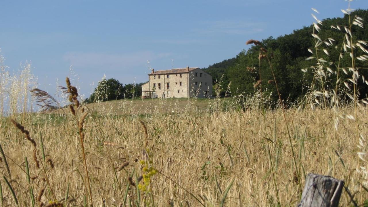 Hotel Casale Le Fontanelle Monte Grimano Terme Zewnętrze zdjęcie